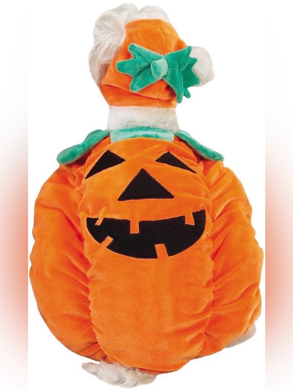 Zack & Zoey Pumpkin Pooch Dog Costume - Large